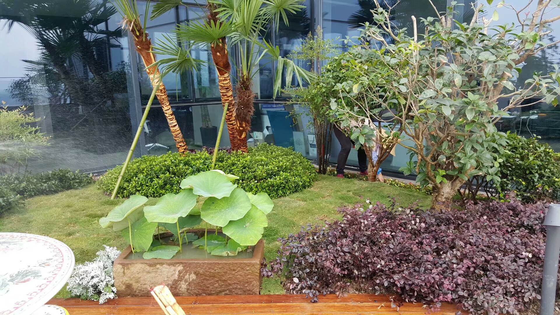 景觀(guān)養(yǎng)護(hù)